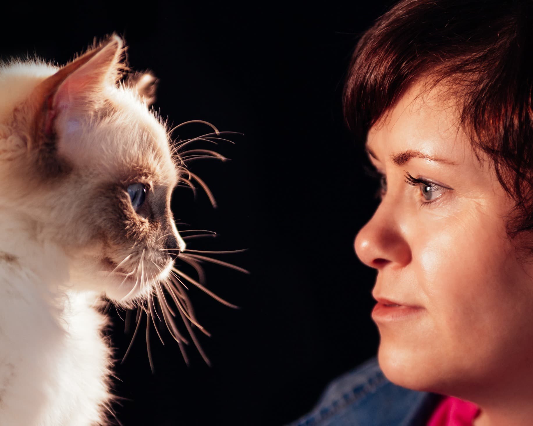 Marina Seibel, Inhaberin der Cattery von Chawerim, Nase an Nase mit einem ihrer Ragdoll-Kitten
